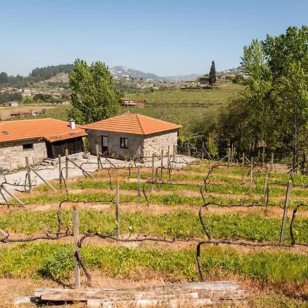 Partezins Ii * קסטלו דה פייבה