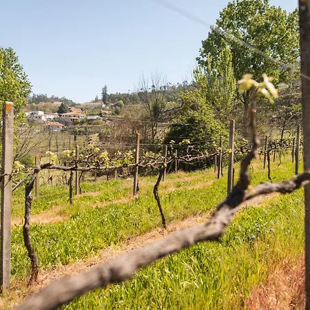 Partezins Ii קסטלו דה פייבה