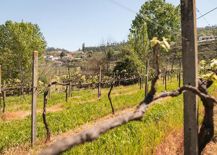 Partezins Ii Castelo de Paiva